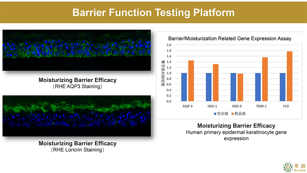 Barrier Function Platform